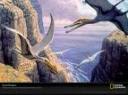 pterosaurs