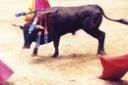 bullfighting