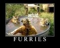 furries