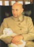 blofeld-cat