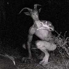 Cops vs. Cryptids” on MonsterQuest, S5 Ep. 1… | FOXSYLVANIA